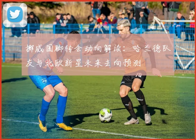 挪威国脚转会动向解读:哈兰德队友与北欧新星未来去向预测