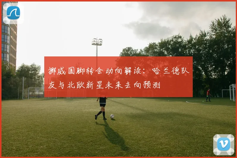 挪威国脚转会动向解读:哈兰德队友与北欧新星未来去向预测